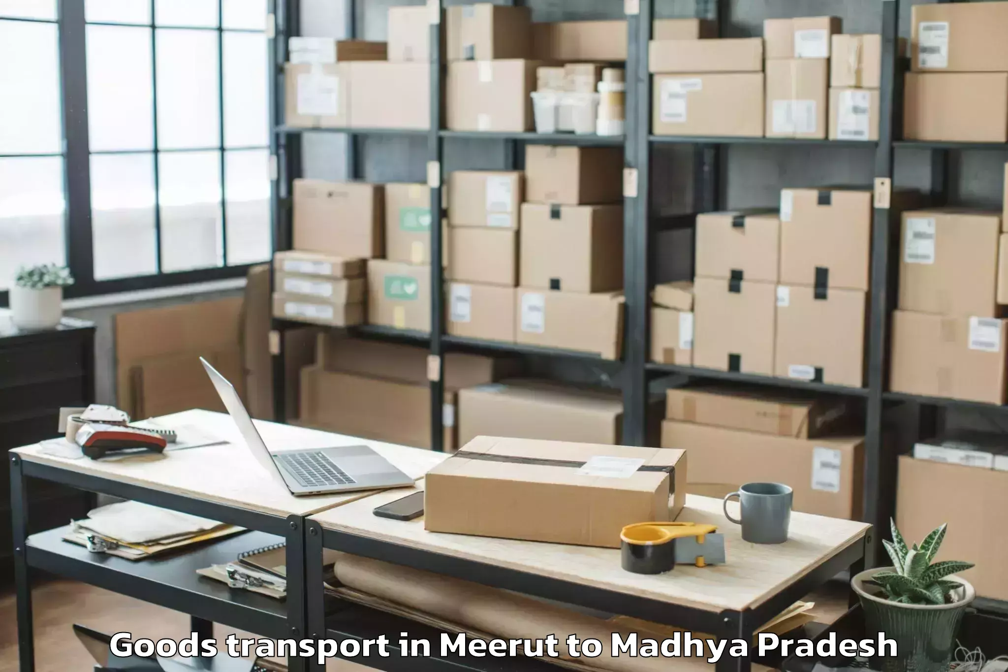 Trusted Meerut to Dhana Goods Transport